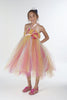 Tutu Flower Girl Dress, Rainbow Color, Handmade, D006