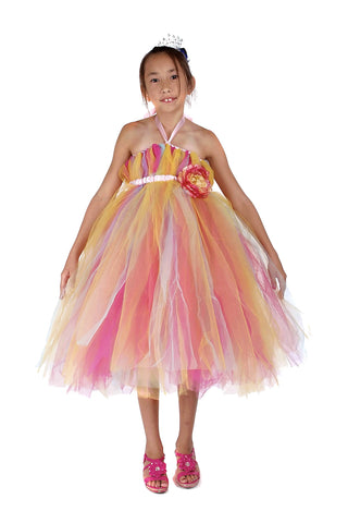 Tutu Flower Girl Dress, Rainbow Color, Handmade, D006